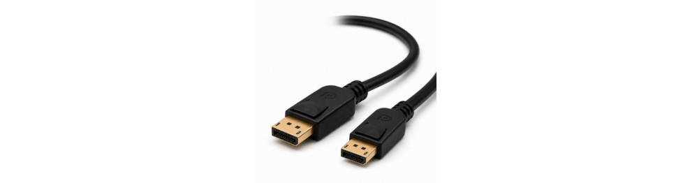 DisplayPort - DisplayPort